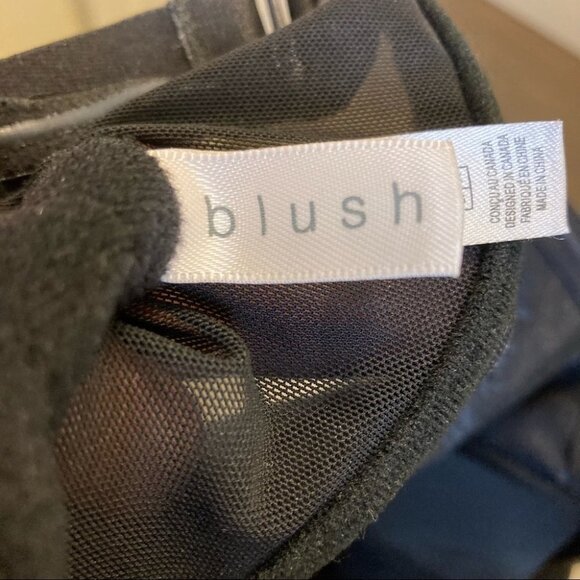 BLUSH Sz XL Bustier w/ Lace on Cups Mesh Back - Picture 5 of 6